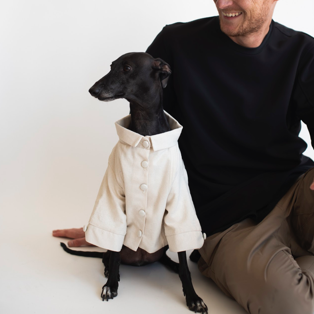 Guayabera hot sale for dogs