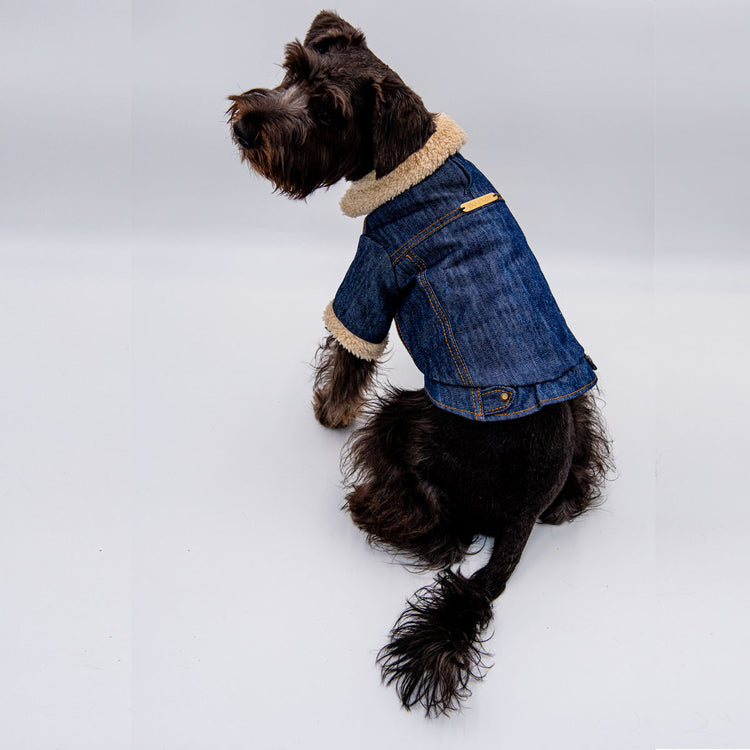 Ash Trucker Jacket