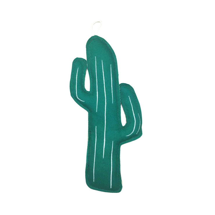 Eco Cactus