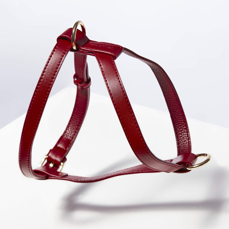 St. Argo Harness Ruby Red